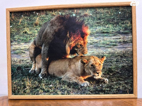 תמונה עם מסגרת עץ