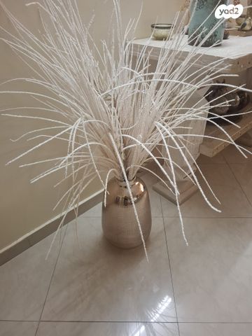כד דקורטיבי לבית