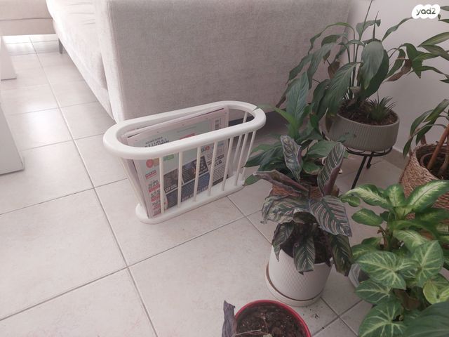 שולחן סלון ומתקן עיתונים