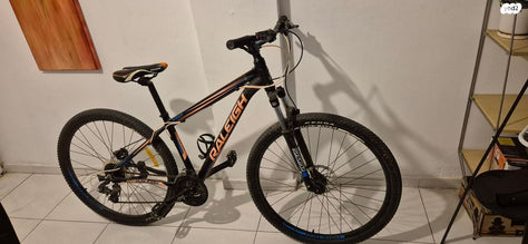 אופני הרים RALEIGH 3900
