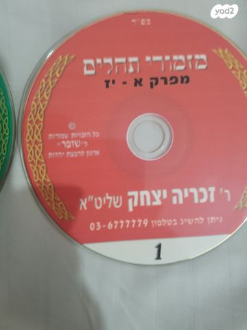 קריאת תהילים בעגה התימנית.