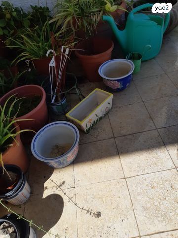 12 כדים-פורצלן, חרס + מתנות