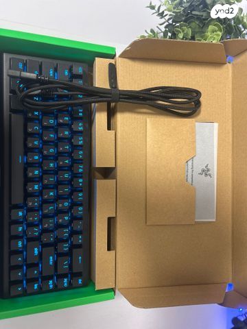 Blackwidow v3 Mini Hyperspeed