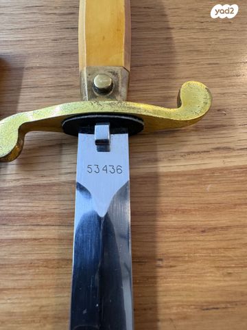 פגיון הצי הרוסי