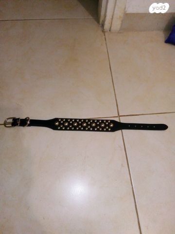 תכשיטים,ושעון יד