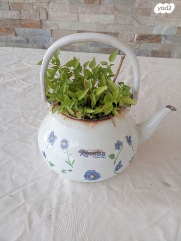 קומקום שורק וינטאג'