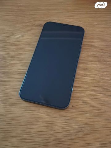 IPhone 12 Pro Max 256 GB