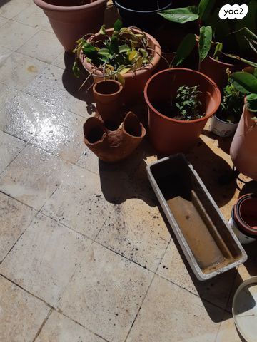 12 כדים-פורצלן, חרס + מתנות