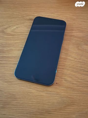 IPhone 12 Pro Max 256 GB