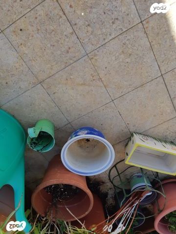 12 כדים-פורצלן, חרס + מתנות