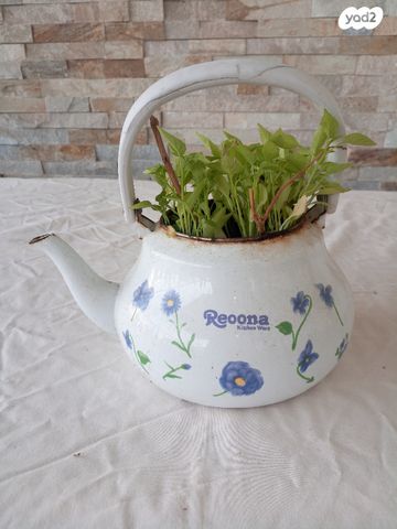 קומקום שורק וינטאג'