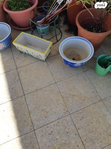 12 כדים-פורצלן, חרס + מתנות