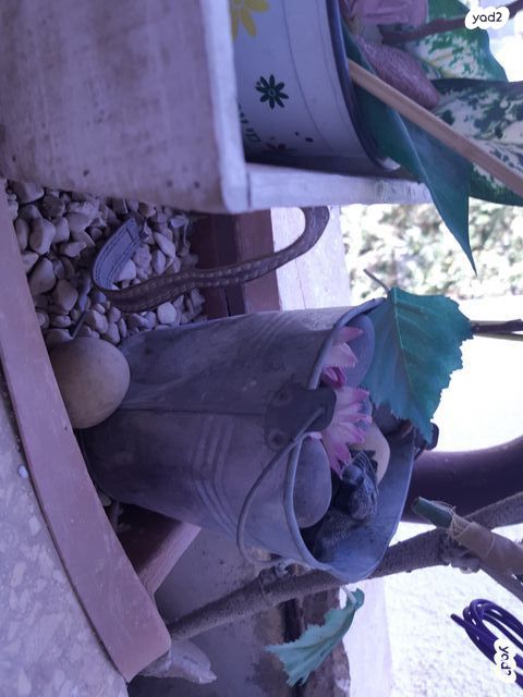 12 כדים-פורצלן, חרס + מתנות