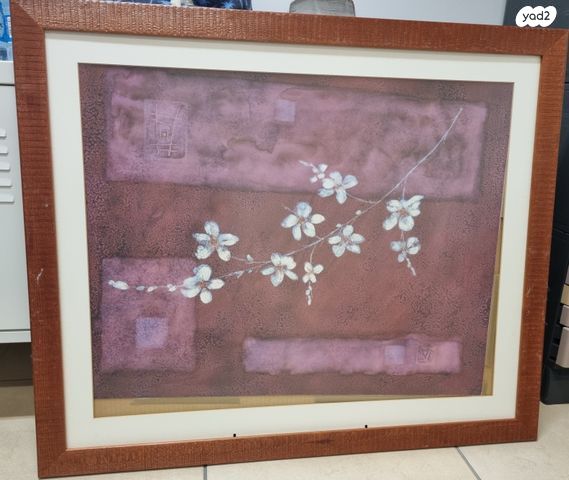 תמונות מקוריות