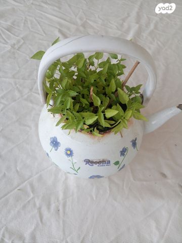 קומקום שורק וינטאג'