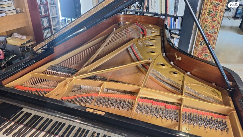 Steinway D hamburg פסנתר כנף