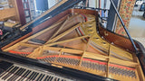 Steinway D hamburg פסנתר כנף