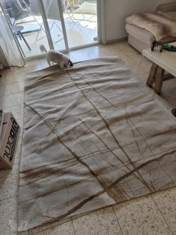 שטיח חדש לסלון