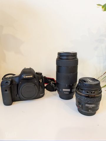 Canon EOS 5D Mark III+ עדשות