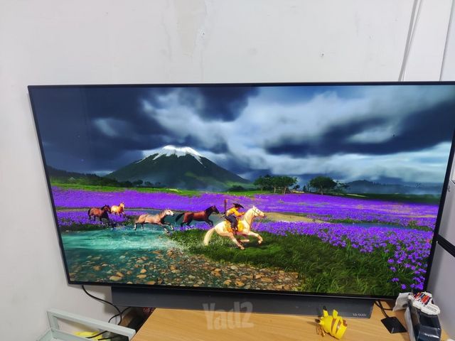 LG C1 OLED 48״