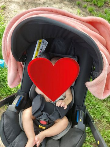 עגלת דונה