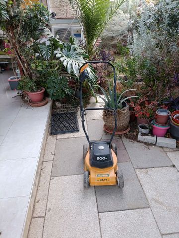 מכסחת דשא