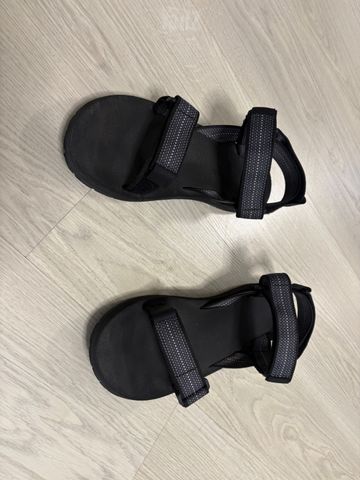 סנדלי שורש