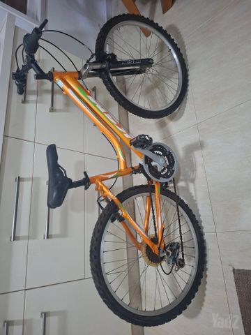 אופניים 24