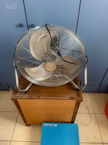 מאורר