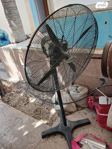 מאורר