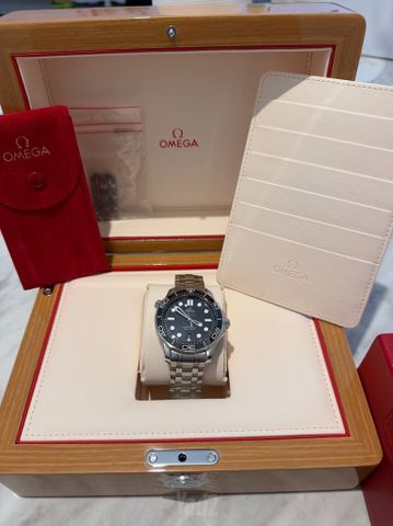 Omega Seamaster 2022