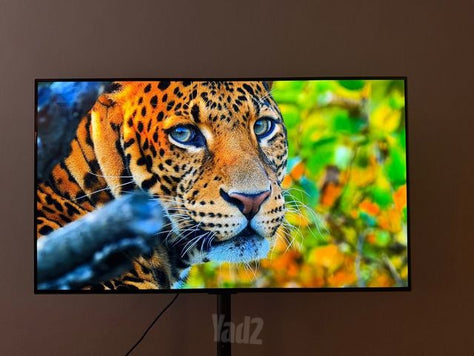 LG OLED 48