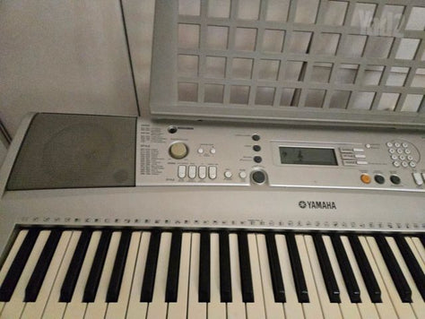 אורגנית