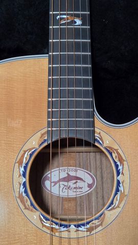 Takamine LTD-2001 Dolphins