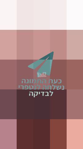 סלקל