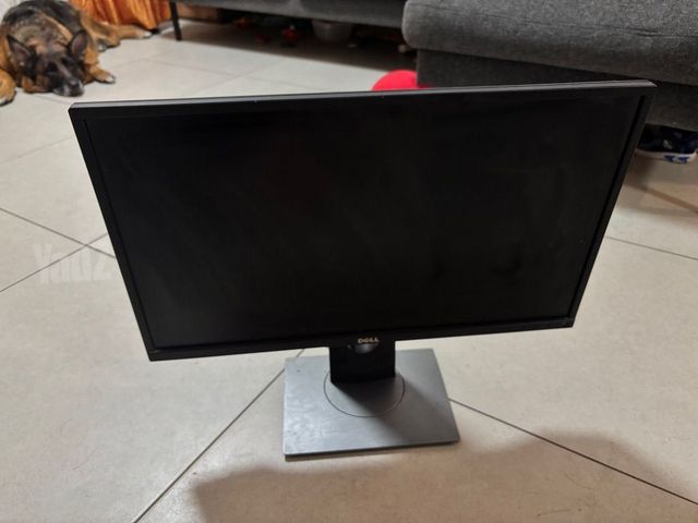 מסך DELL P2417H
