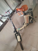 electric bicycle