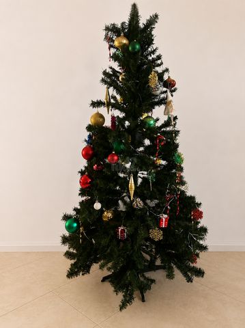 Christmas Tree   עץ חג מולד