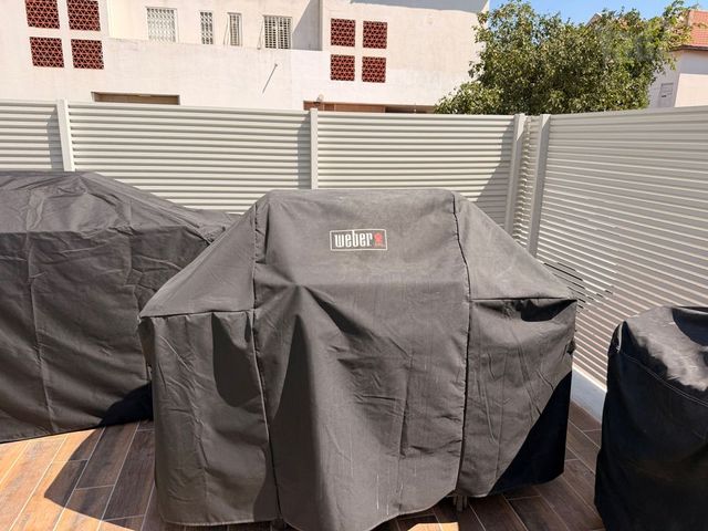 גריל גז וובר weber