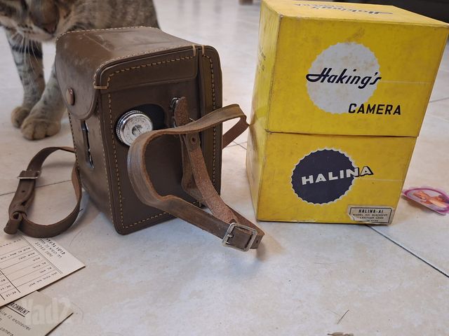 מצלימת Halina
