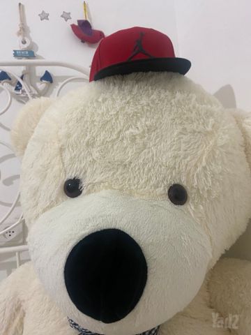 דובי