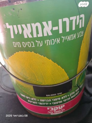 צבע