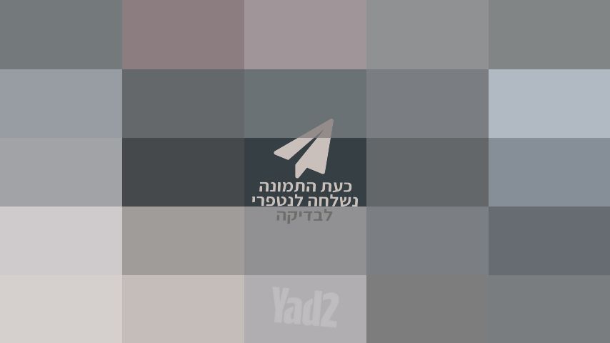 דיסיק חיתוך מקיטה "מקורי"