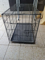 כלוב אילוף