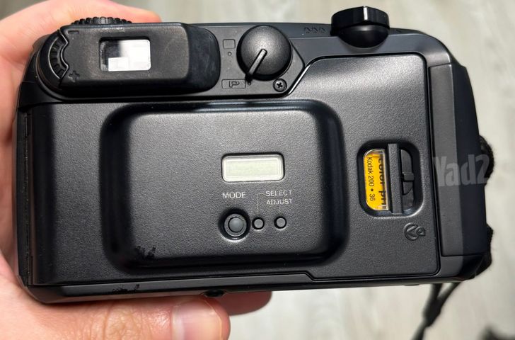 Pentax Espio 160 מצלמה פילים