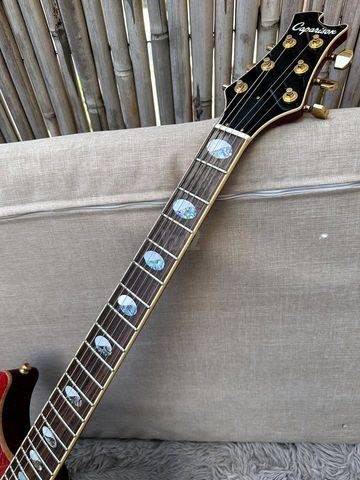 Caparison Angelus