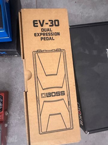 Boss EV-30