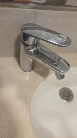ברז פרח גרואו grohe