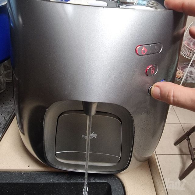 תמי 4 פרימו