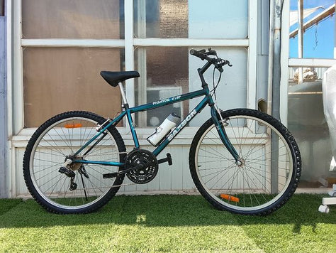 אופני עיר